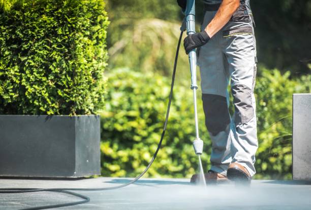 Best Dumpster Area Cleaning  in Immokalee, FL