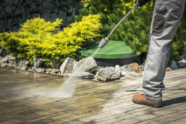 Best Heavy Equipment Washing  in Immokalee, FL