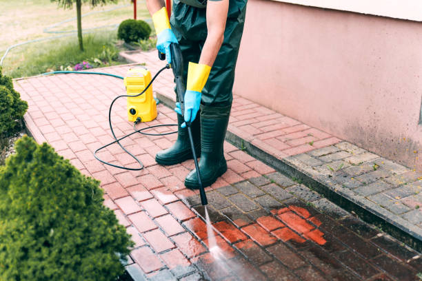 Best Building Exterior Washing  in Immokalee, FL