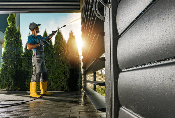 Best Driveway Pressure Washing  in Immokalee, FL